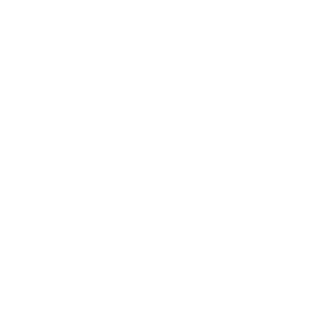 logo 2 (1)